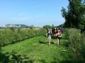 2013-07-18 10_44 003